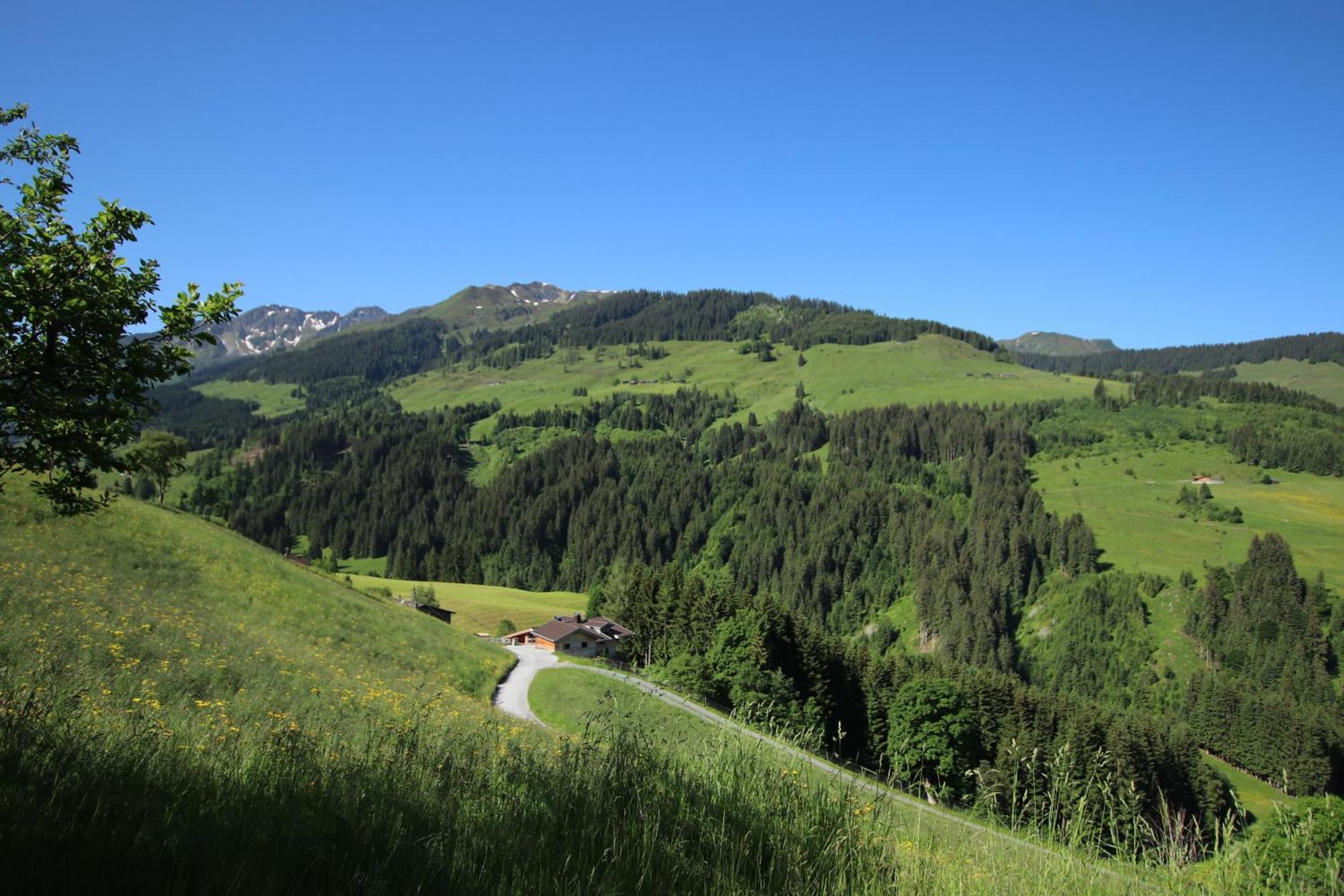 Ferienwohnung Bergpanorama Wild600 Schwarzenau  Esterno foto